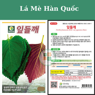 Hạt giống lá mè Hàn Quốc (lá vừng, lá kê nhíp dùng ăn đồ nướng)