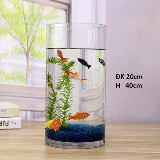Bể hồ cá thủy tinh trụ trơn cao D20*H40 cm, bình bông lọ hoa ống thủy tinh