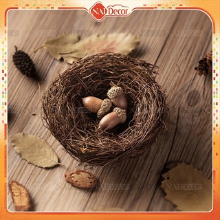 Tổ chim trang trí (Nhiều size) - Phụ kiện chụp ảnh