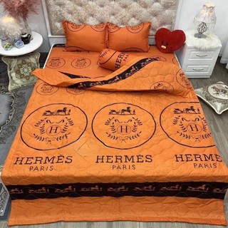 bộ chăn ga gối set hè 5 món chăn hè