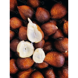 Mây indonesia 1kg (Salak Pondoh Jogja) - ĐỌC KỸ MÔ TẢ