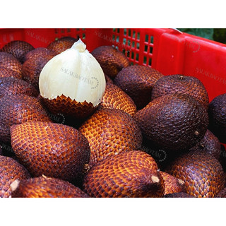 Mây indonesia 1kg (Salak Pondoh Jogja) - ĐỌC KỸ MÔ TẢ