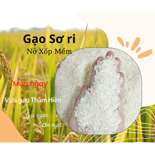 Gạo sơri - gạo nở xốp mềm - 5kg