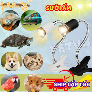 COMBO: 1 KẸP ĐÈN + 2 BÓNG ĐÈN SƯỞI 3.0. Sưởi ấm Pet, Rùa, Chó con, Mèo con, Chim, Vẹt, Bò sát, gà...