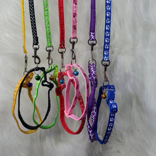 Dây dắt chó mèo kèm vòng cổ