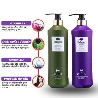 Bộ dầu gội + xả TOCO Collagen kích thích mọc tóc 785ml*2