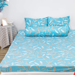 (mẫu ga gối hot)set ga gối 4 món không chăn