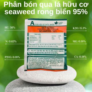 (Combo 5 gói) Phân bón lá hữu cơ rong biển SEAWEED, gói 10g, tăng khả năng ra hoa, đậu trái, chống thối trái