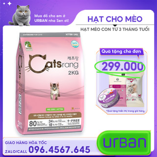 Catsrang Kitten – Hạt Cho Mèo Con