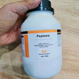 Peptone lọ 250g pepton TINH KHIẾT CAS 73049-73-7 Trung Quốc
