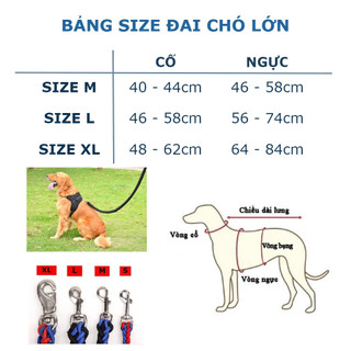 Đai Đeo Cho Chó Lớn Siêu Chắc Chắn -  DY00001