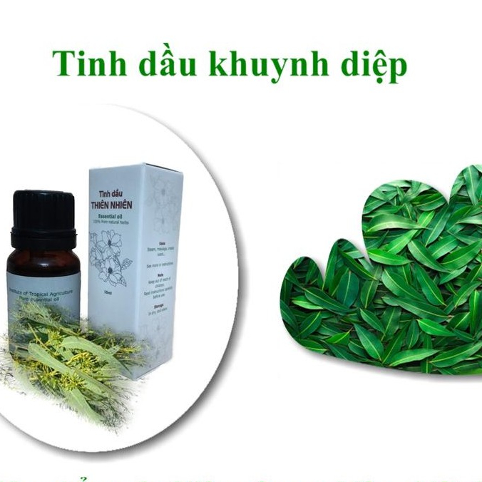 Tinh dầu khuynh diệp IAT