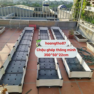 Chậu ghép thông minh trồng rau sạch tại nhà dài 4m rộng 0.5m cao 0.22m Shop Giống Rau Sạch