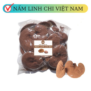 Nấm linh chi đỏ việt nam cnv 250g