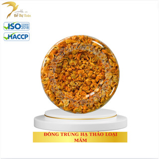 Nấm đông trùng hạ thảo - loại mầm - yến sào đỗ thị toán