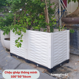 Chậu lắp ghép trồng cây trồng hoa thông minh dài 100cm 50cm cao 56cm hoangtho87