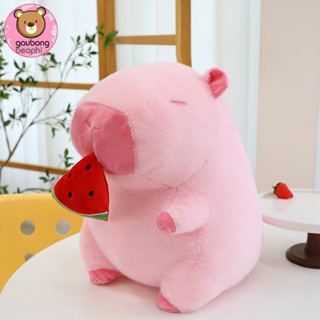  Gấu Bông Chuột Capybara  Màu Hồng  Ăn Quả Dưa Hấu  Rút Mũi Chậm  Hot Trend Đáng Yêu Món Quà Dành Cho Mọi Lứa Tuổi 