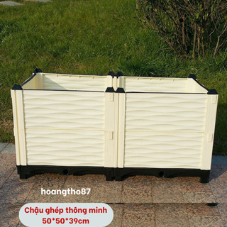 Chậu lắp ghép trồng rau trồng cây thông minh tai nhà dài 100cm rộng 50cm cao 39cm hoangtho87