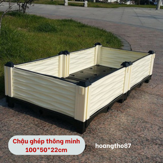 Chậu ghép trồng rau thông minh dài 100cm rộng 50cm cao 22cm, chậu dài 80cm rộng 40cm hoangtho87