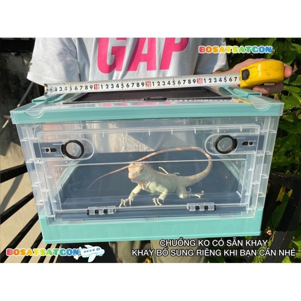 LỒNG NUÔI BÒ SÁT LẮP GHÉP CHUỒNG NUÔI ẾCH PACMAN TRĂN RẮN CÔN TRÙNG RÙA NƯỚC THÚ CƯNG, NOMOY PET NX-