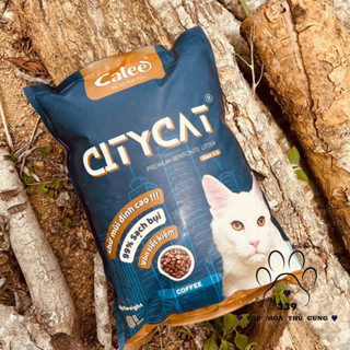 [HOẢ TỐC-Q3] 1 TẢI CÁT VỆ SINH CHO MÈO CÁT CITYCAT 8L