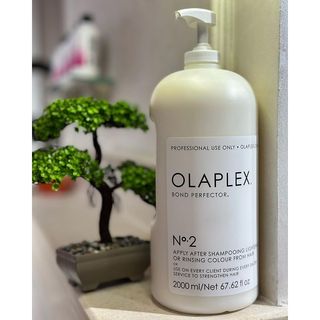 BOND PERFECTOR PHỤC HỒI TÓC OLAPLEX SỐ 2 2000ML