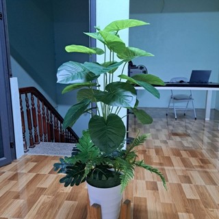 (Tặng kèm chậu) - Cây xanh trang trí, Cây giả decor siêu xinh, mẫu cây mới hot trend