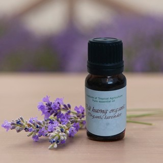 Tinh dầu oải hương Lavender 10ml