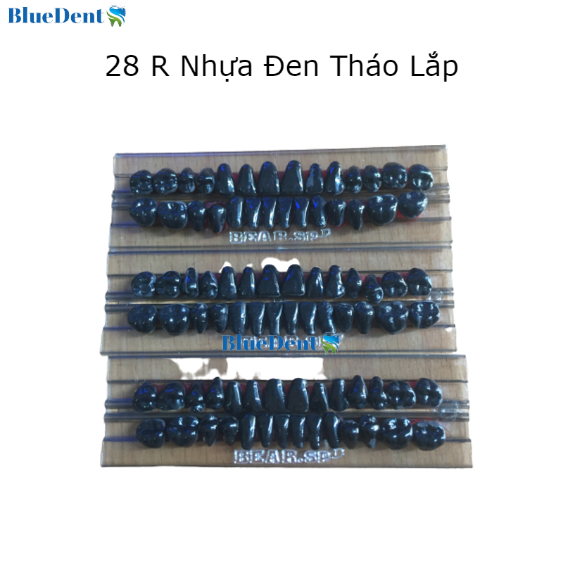 Chỉ Dành Cho Nha Sĩ  KTV- Răng Nhựa Đen Vĩ 28R Dùng Cho Nha Khoa Labo