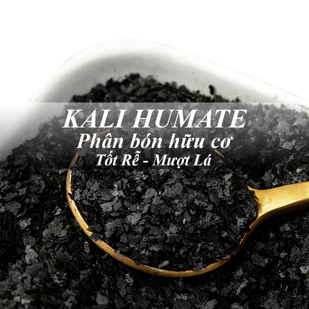Phân Bón Hữu Cơ - Kali Humate - Kích Rễ Cải Tạo Đất
