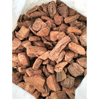1kg vỏ thông xay (size 2-4cm)