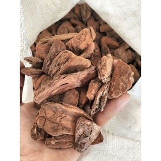 1kg vỏ thông xay (size 2-4cm)