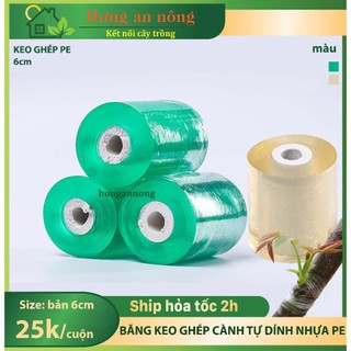 Băng keo trong bản 6cm ghép cành tự dính chất liệu nhựa PE