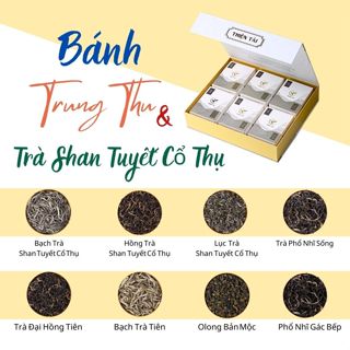 Hộp Bánh Trung Thu Và Trà Shan Tuyết Cổ Thụ - Bộ Quà Tặng Sang Trọng Chính Hãng Thiện Tài