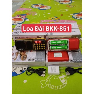Máy Nghe Pháp BKK-B851+2pin, Có Chọn Thẻ Nhớ+Cốc Sạc.