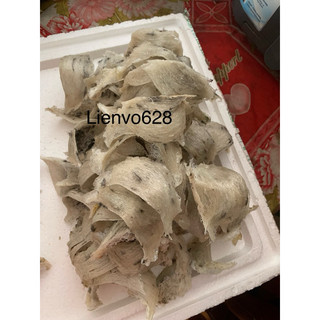 100g yến thô nguyên tổ lông vừa (yến nhà nuôi)
