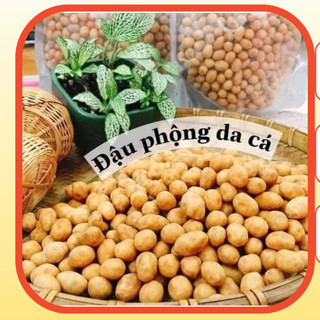 500g Đậu phộng da cá vị nước cốt dừa Nuttyone thơm ngon