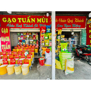 Gạo ST24 (Túi 5Ký) Dẻo Cơm