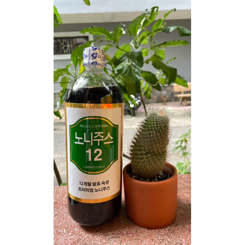 tinh chất nước cốt nhàu PHONG THẢO NONI JUICE