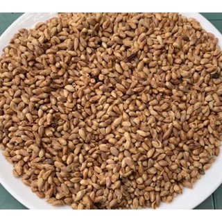 Bá Tử Nhân loại 1(đã sao vàng, thơm, mới)[500g]
