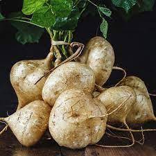 Hạt giống củ đậu gói 200gram - hạt giống tỷ lệ nảy mầm cao, nhiều củ