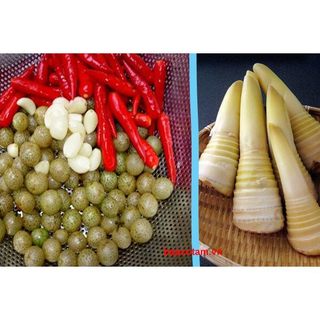 COMBO 2 CÂY MÓC MẬT LÀM GIA VỊ CỰC THƠM
