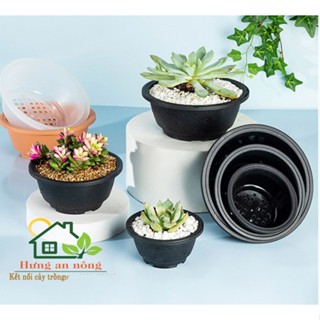CNTTO - chậu tô nhựa PP cao cấp chắc chắn chuyên trồng cây sen đá xương, bonsai, cây để bàn, co 3 size