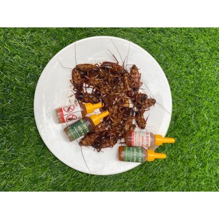 Thuốc diệt kiến, gián Hiển Anh