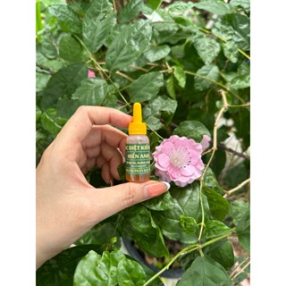 Thuốc diệt kiến, gián Hiển Anh