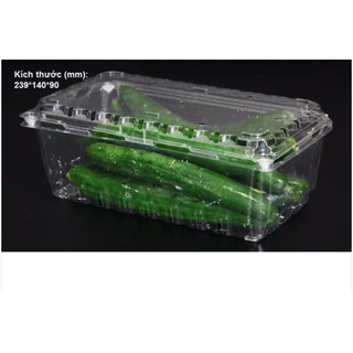50 hộp nhựa đựng 1,5kg trái cây P1000A