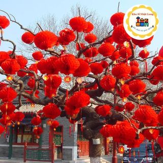 Đèn lồng đỏ Nilong chữ Phúc 25cm/20cm treo trang trí Tết - đèn lồng chống nước