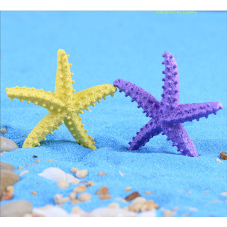 TT83 - sao biển màu mini trang trí tiểu cảnh sen đá, xương rồng, bonsai, cây để bàn