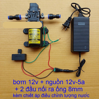Máy Bơm Nước Mini 12V Tăng Áp Phun Sương, Rửa Xe, Hút Nước Bể Cá