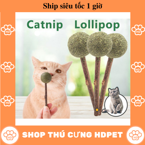 Que Cỏ Bạc Hà - Que Catnip Cho Mèo